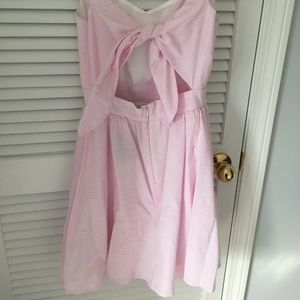 Lauren James Summer Seersucker Dress